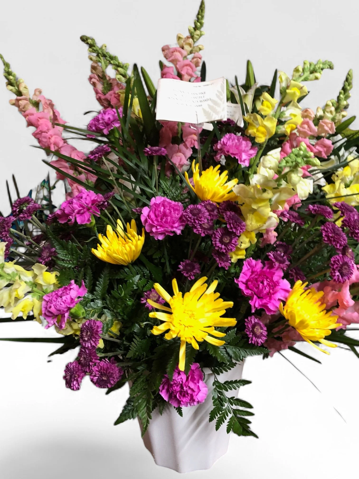 Photoroom_20260330_170725.JPG
