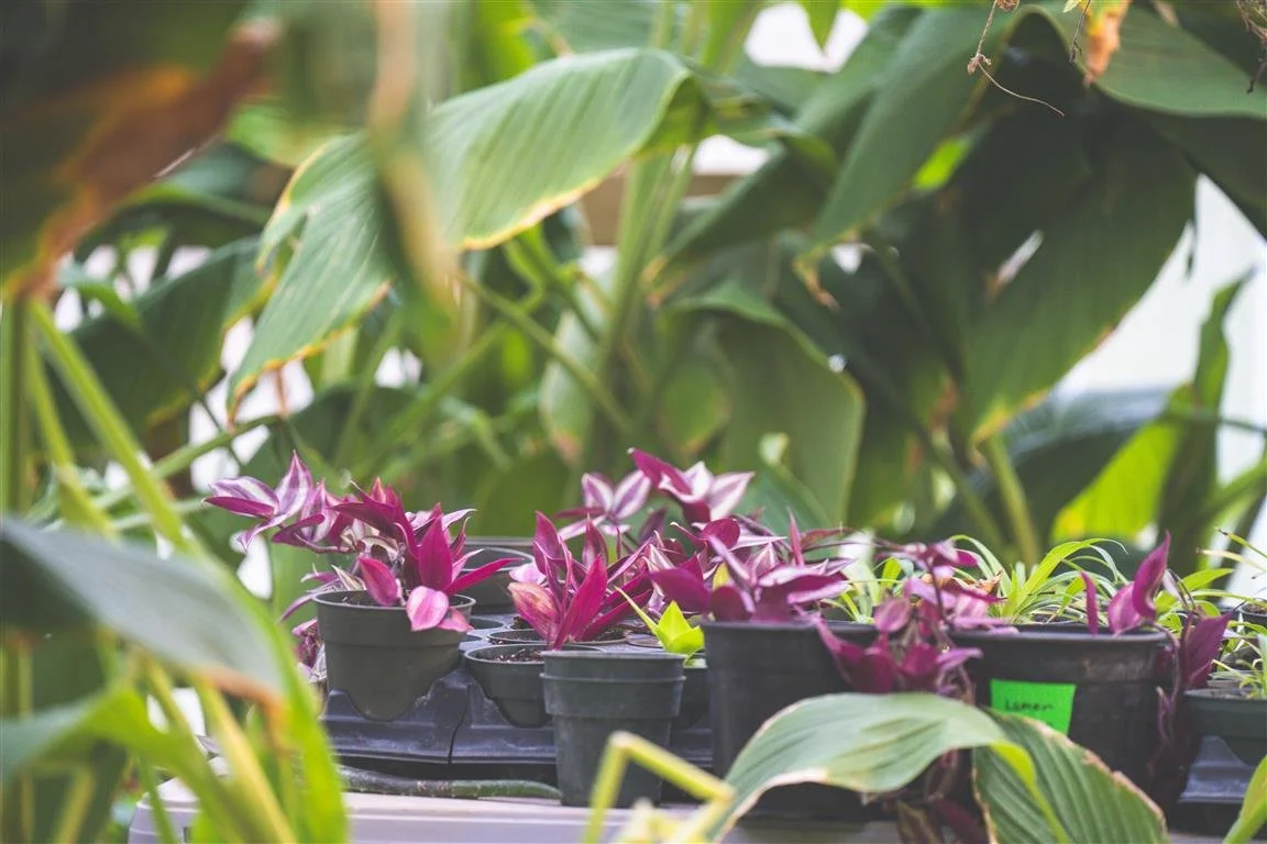 Did You Know? Deer Park Farm Offers More Than Farm-Fresh Food in Floyd, VA