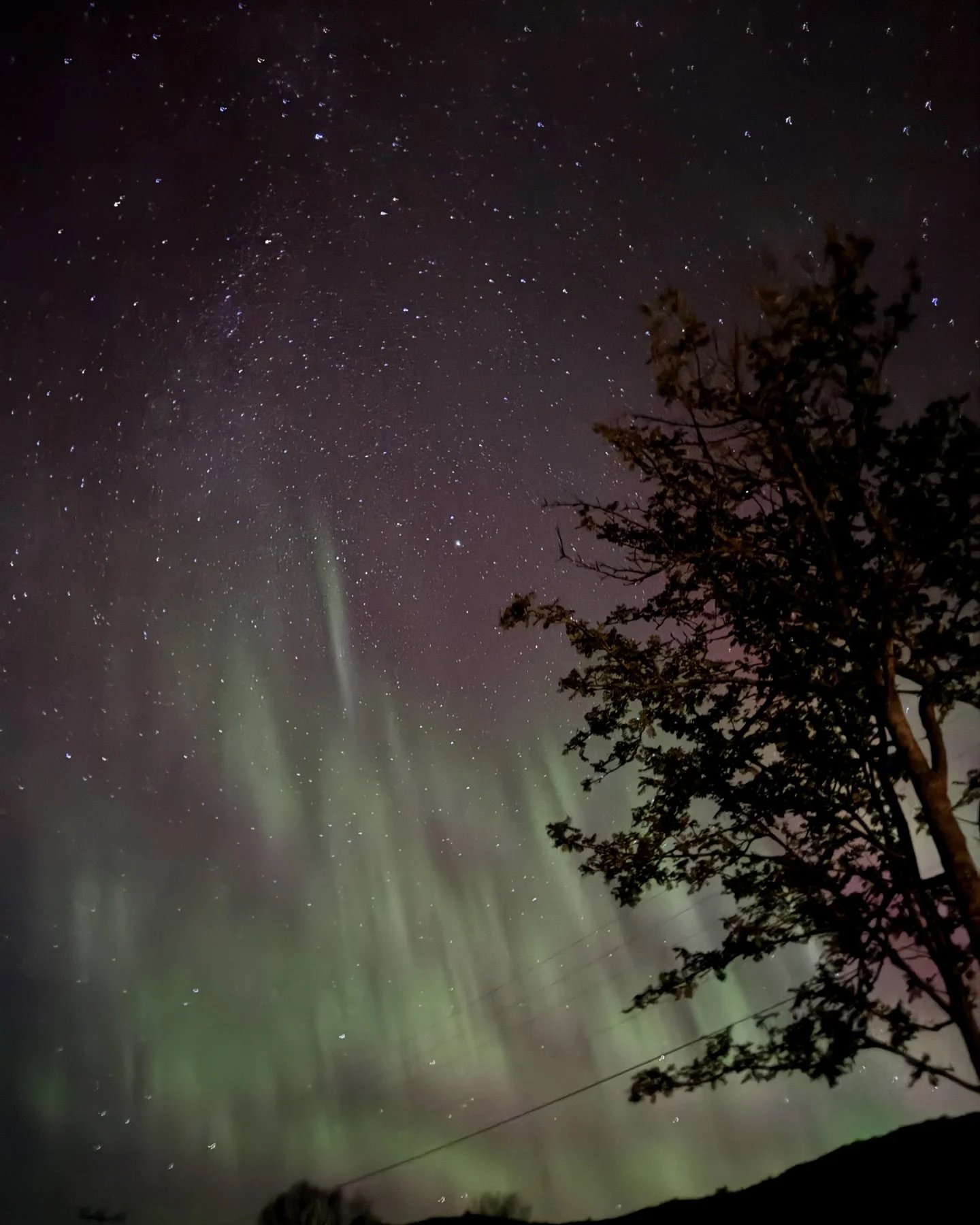 The northern lights (Aurora Borealis) were absolutely magical over our cabin plots last night! 🌌 Cabin plots available now&mdash;don&rsquo;t miss out on nature&rsquo;s best show! 🌲✨ #NorthernLights #CabinLife #DreamEscape #NorthernLightsMagic #Cabi