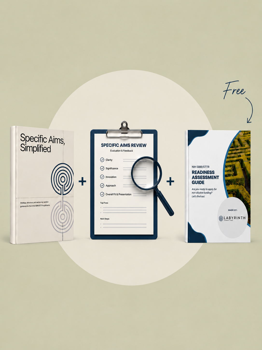 Specific Aims Review (Expert Check)