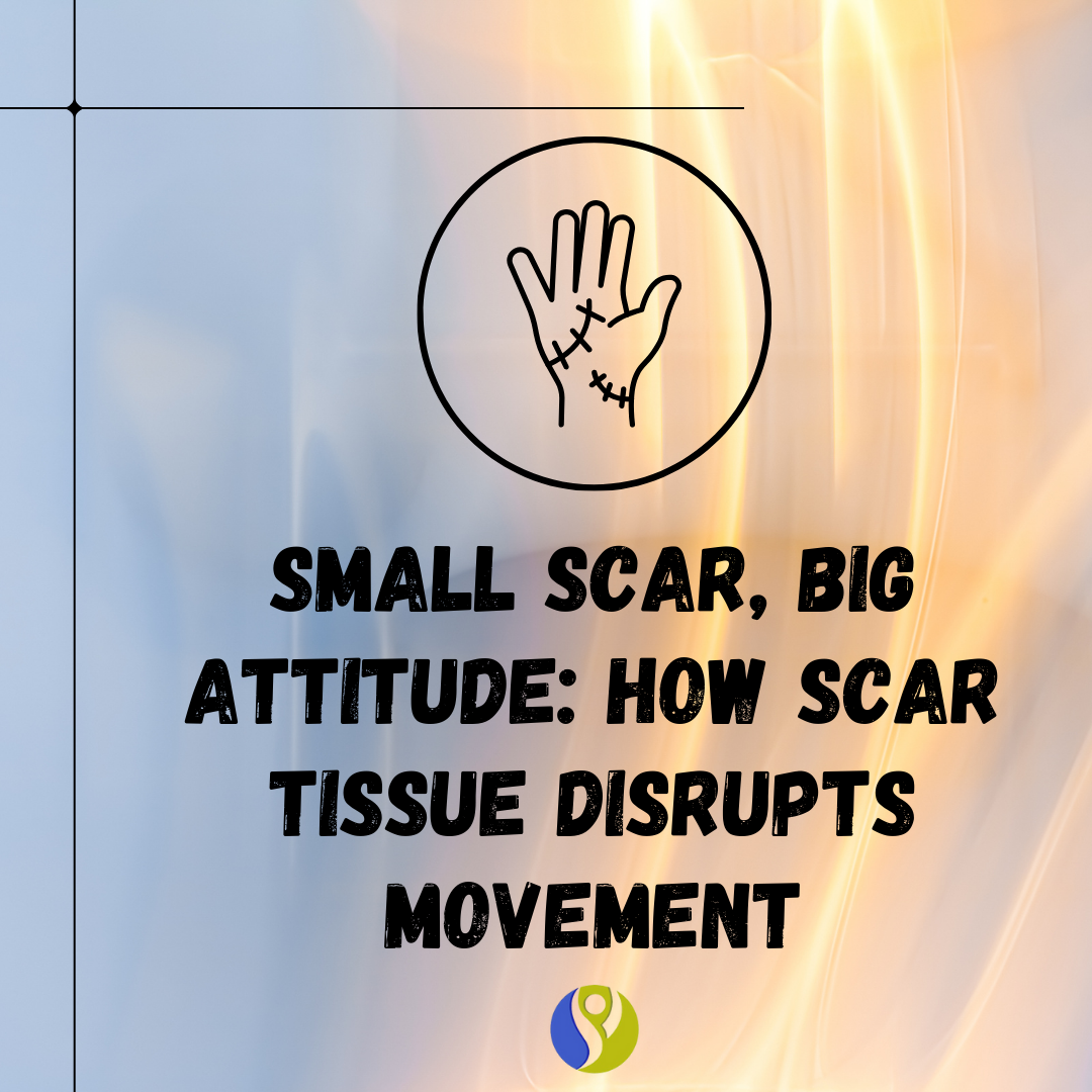 Small Scar, Big Attitude: How Scar Tissue Disrupts Movement
