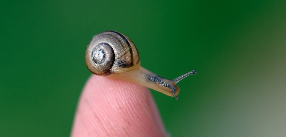 Mindfulness, Made Simple