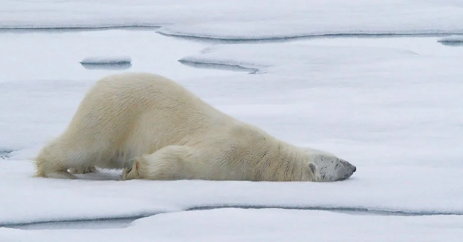 Sweatpants & Humor | GIF Tale | Just Another Manic Monday