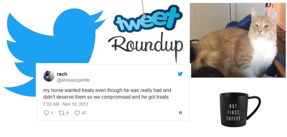 Tweet Roundup | This Week's Funniest Tweets About Animals