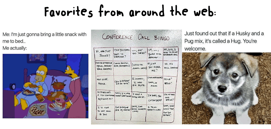 Friday Funnies 11/17/17: Our Faves from Around the Web