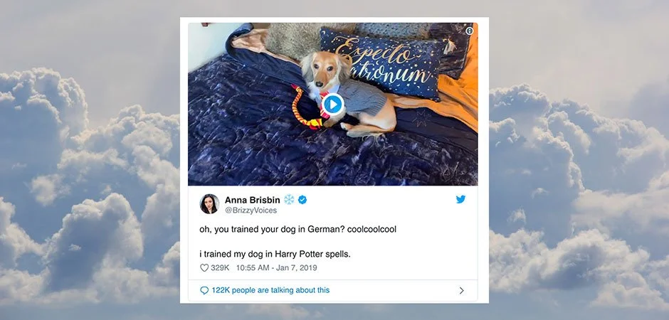 Good Stuff This Week | January 22, 2019