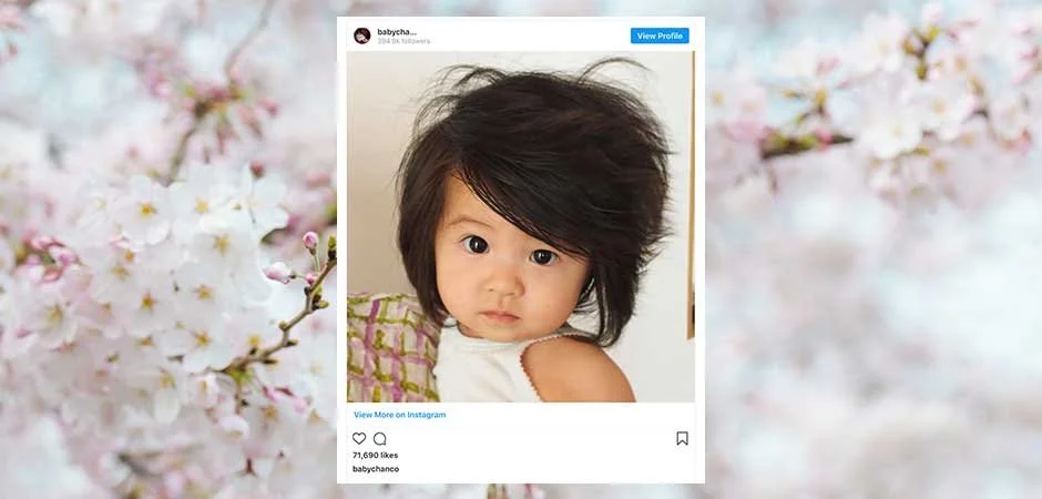 Good Stuff This Week | January 29, 2019