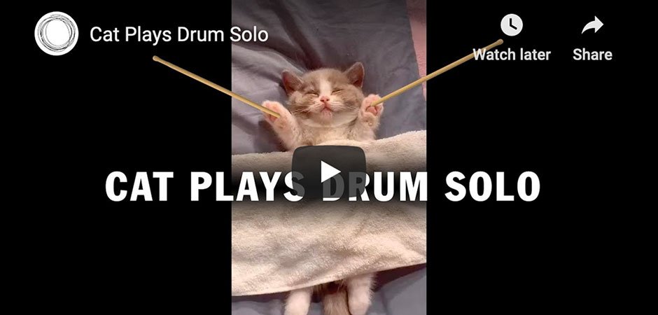 Good Stuff This Week | Vol. 18