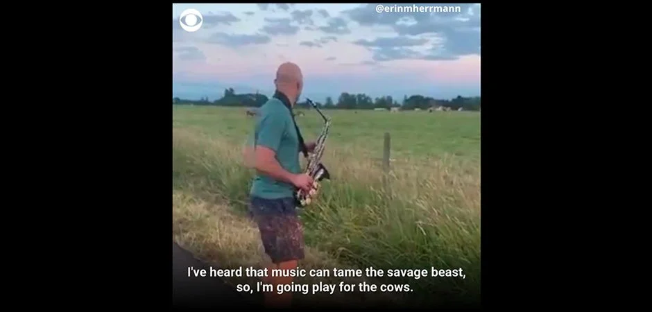 Good Stuff This Week | Vol. 20