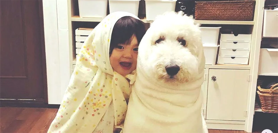 These Wholesome Pics of a Little Girl & Her BFF Dog Will Melt Your Heart
