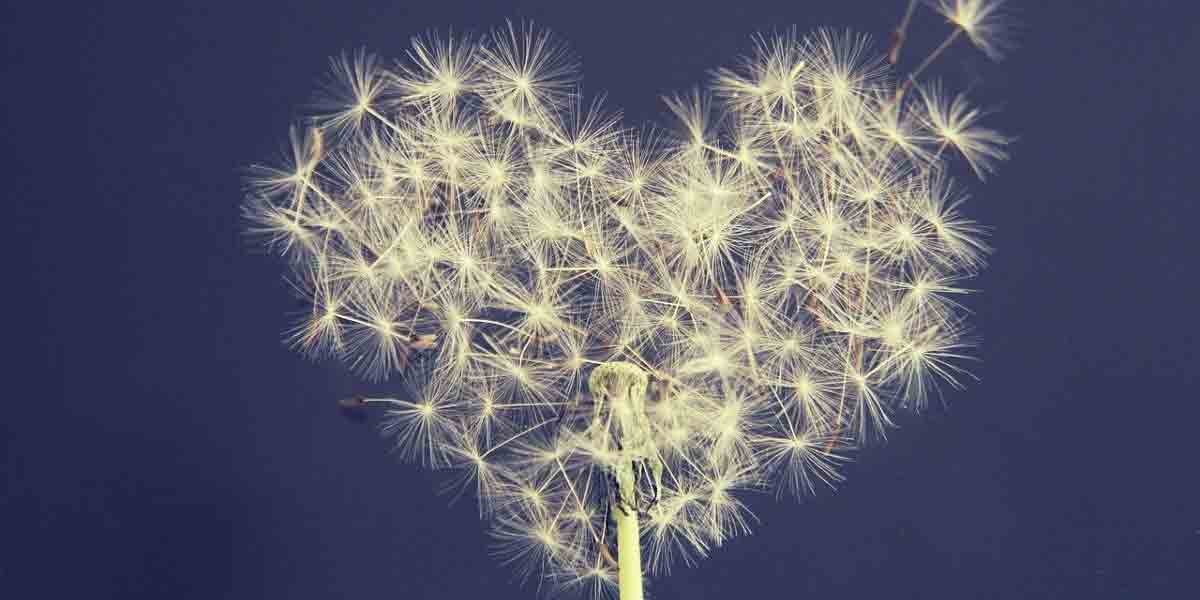 Stop Telling Me How to Self Care