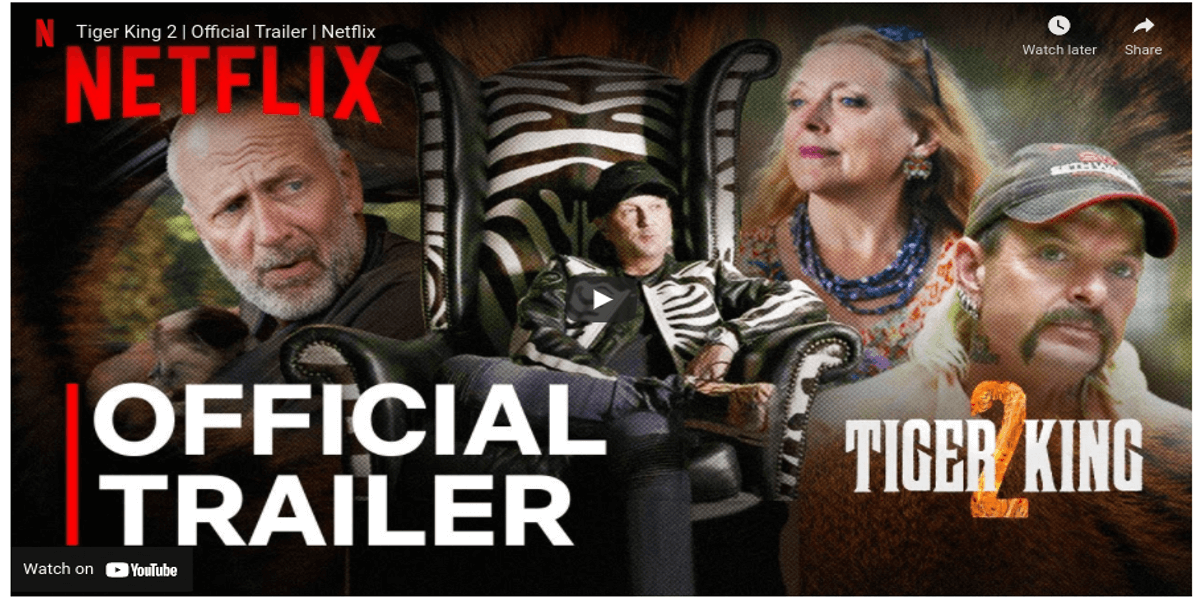 New on Netflix, November 2021