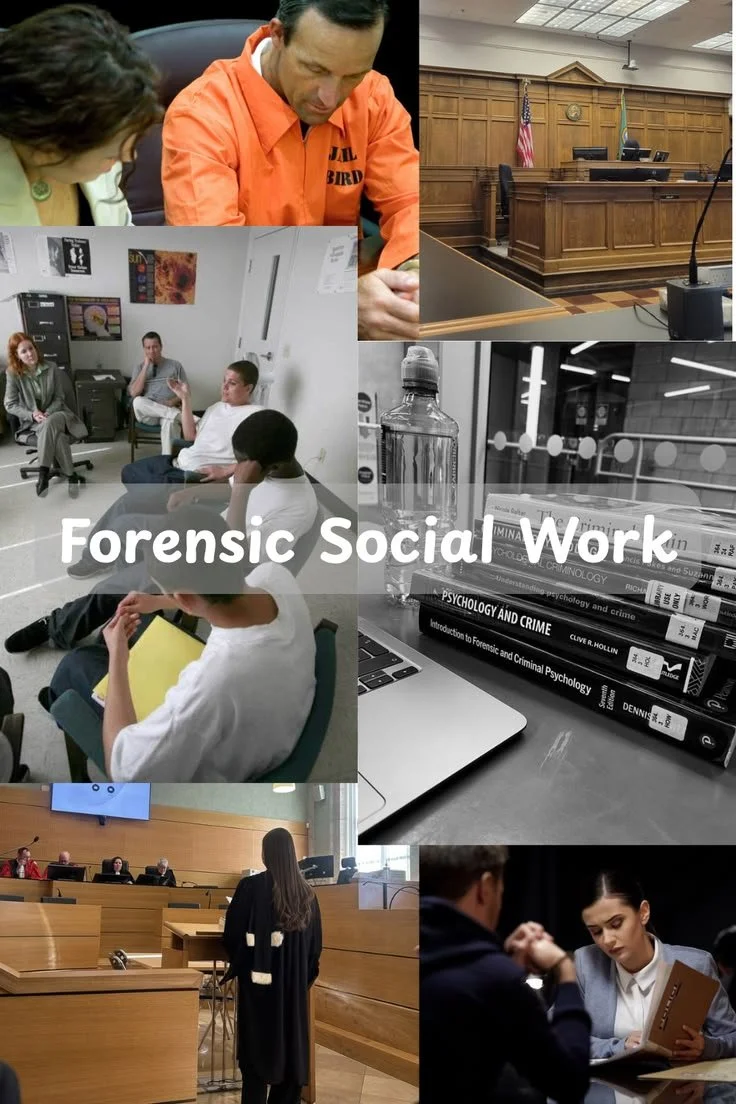 forensic social work.jpeg