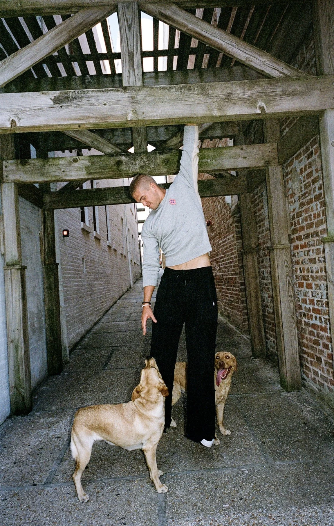 A young man in a gray sweatshirt and black pants standing under a wooden structure with two dogs, one licking his hand and the other with tongue out panting.