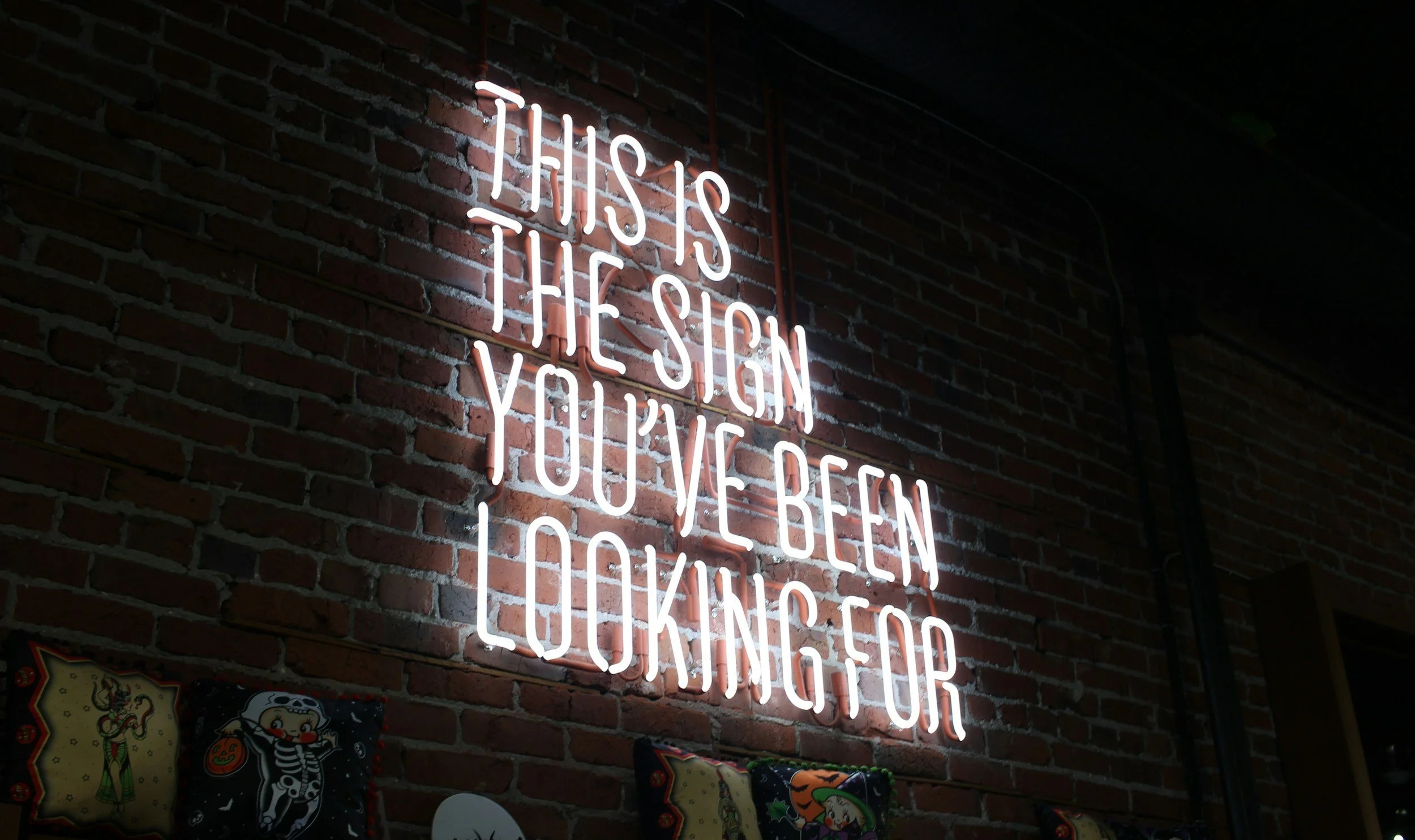 Neon sign on brick wall that reads, "This is the sign you've been looking for."