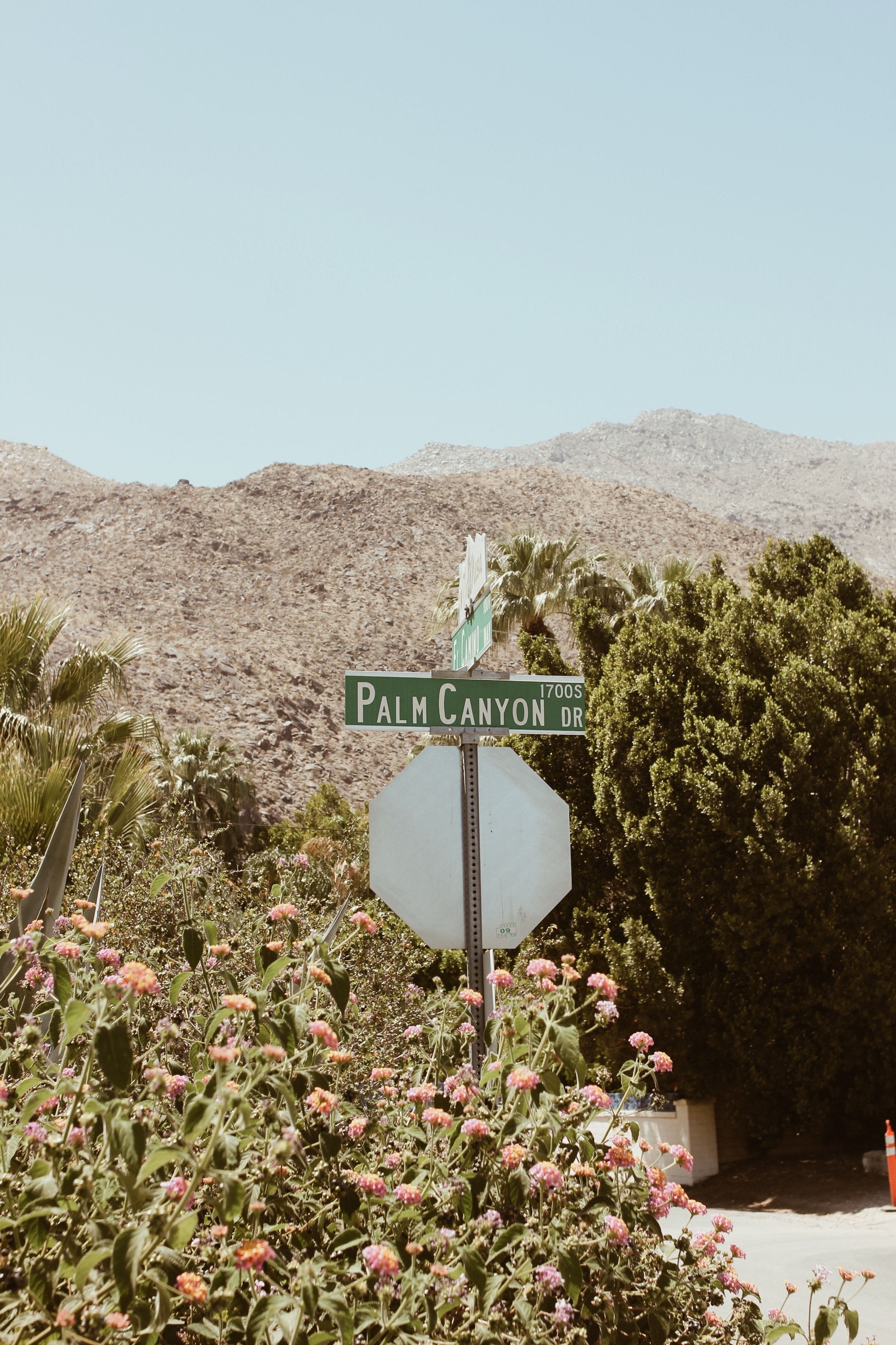 karly-jones-iqhxOL_VZ1w-unsplash.jpg