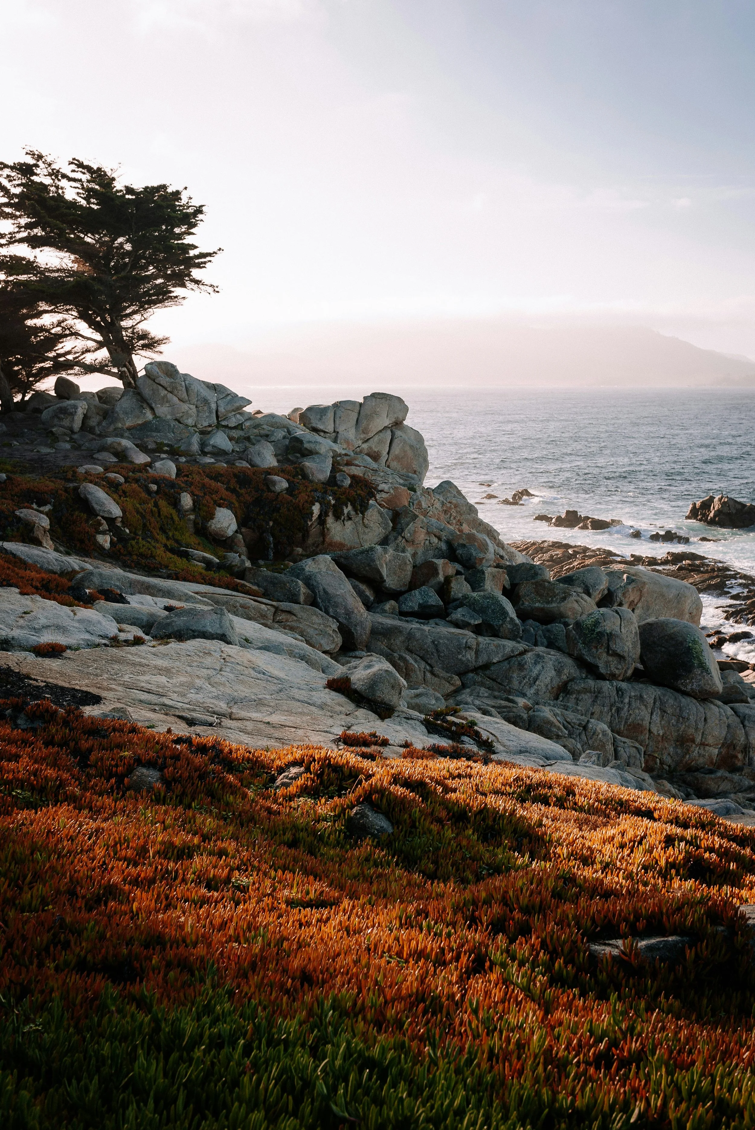 karsten-winegeart-_TEuJfy5mMo-unsplash.jpg