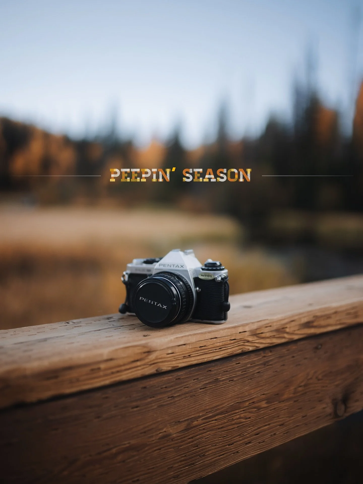 It doesn&rsquo;t happen every season, but it is a treat when I&rsquo;m traveling through some place right when autumn is at its prime. I&rsquo;ve done so little exploring around the Salt Lake area in the times l&rsquo;ve been through, so I appreciate
