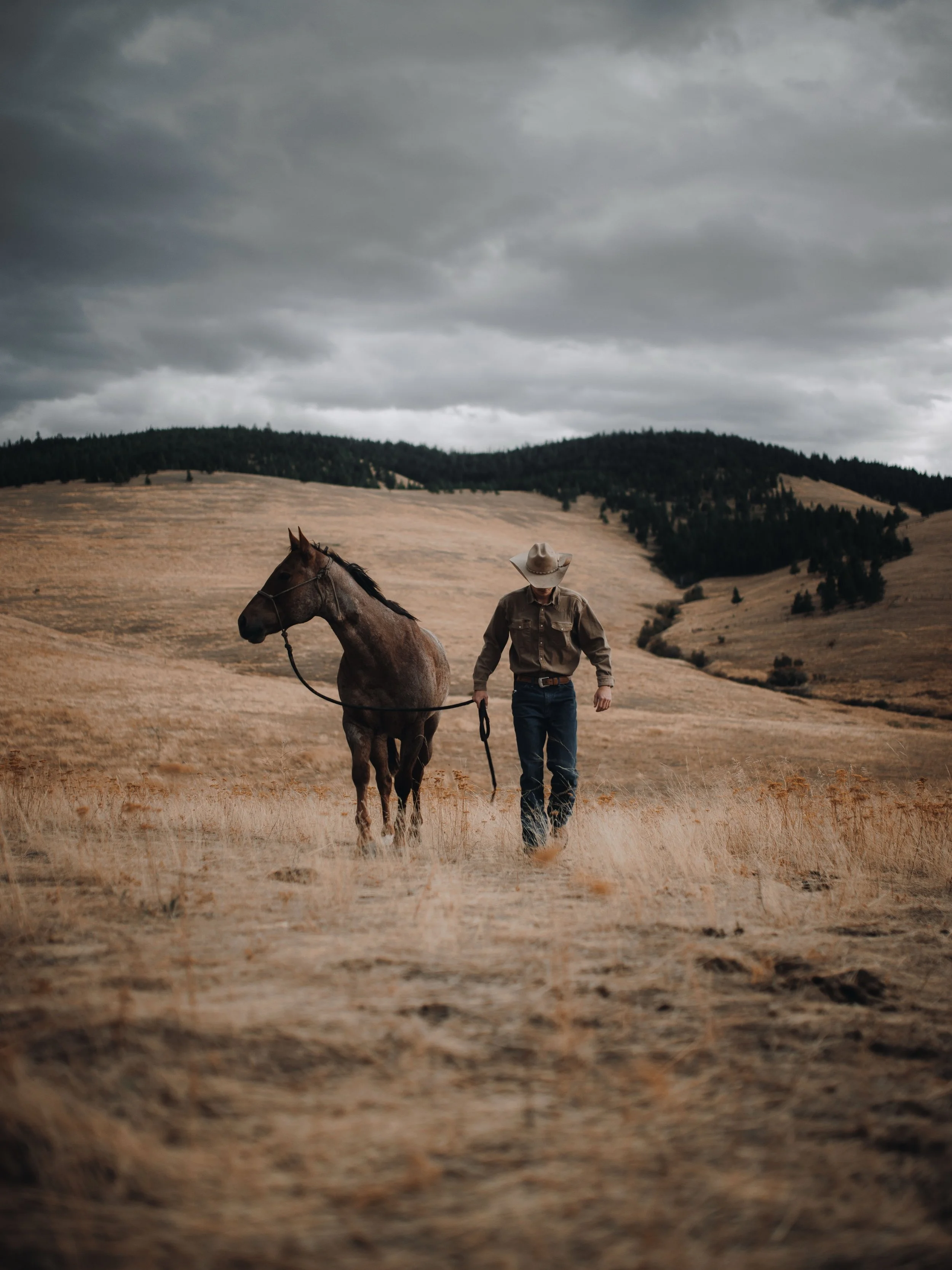 I think it&rsquo;s a safe thing to assume that everyone has wanted to be a cowboy at one point or another. And if you didn&rsquo;t, then I think it&rsquo;s time you stop lying to yourself.

Of all of the stories I remember from growing up (I&rsquo;m 