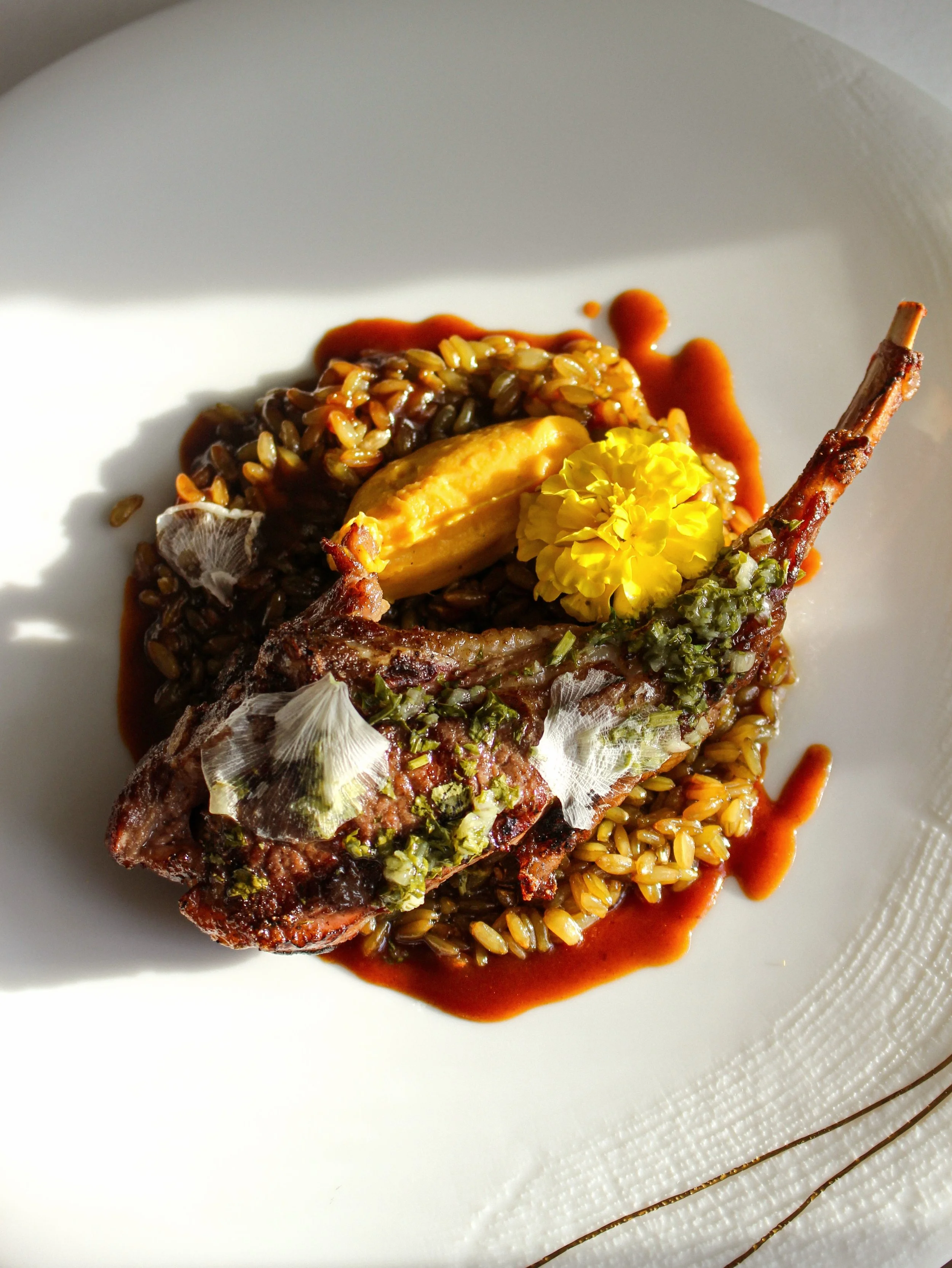 New serving in the Dining Room: Grilled lamb rack chop on a bed of toasted freekeh, enhanced by sweet potato pur&eacute;e &amp; cilantro sauce verte. 

This warm, earthy, pastoral preparation &amp; bright, herbaceous finish suits the rich, tender, sm
