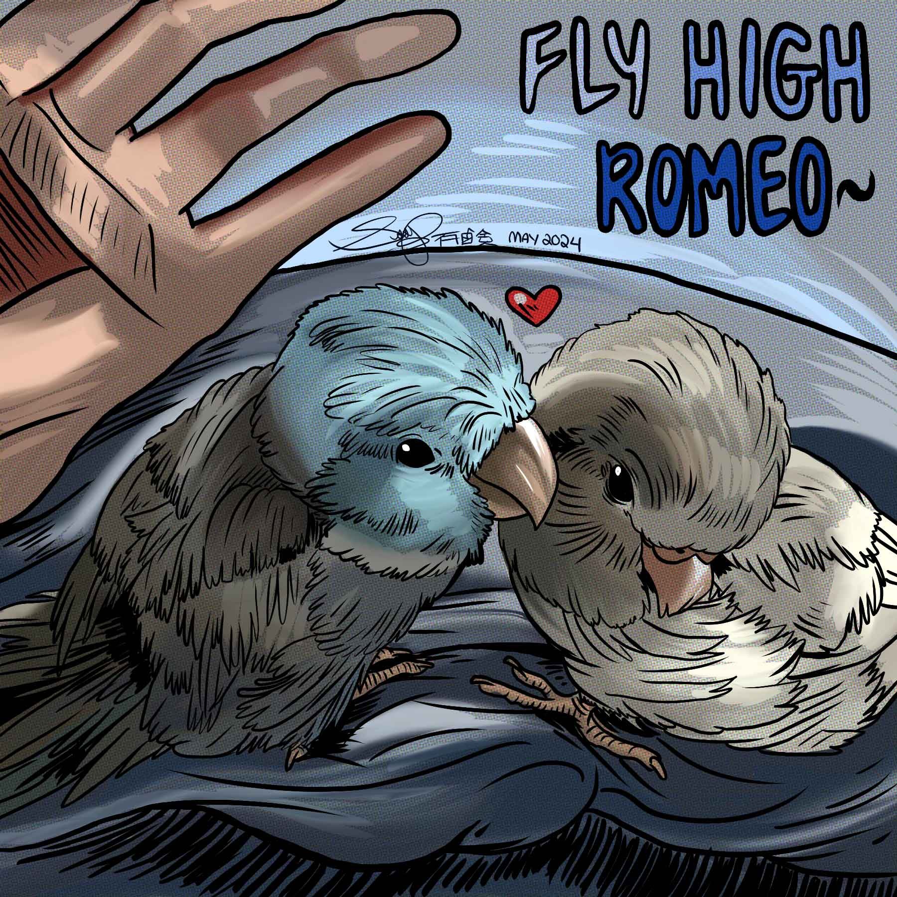 birb-commish-romeo-and-yuki-finished.jpg