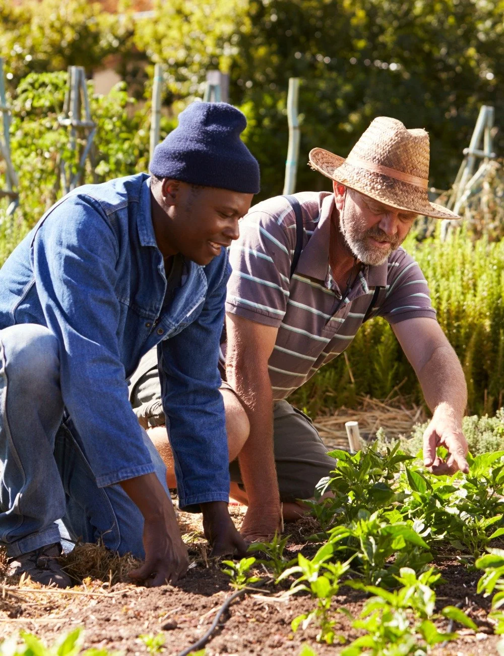 Two neighbor men gardening together
