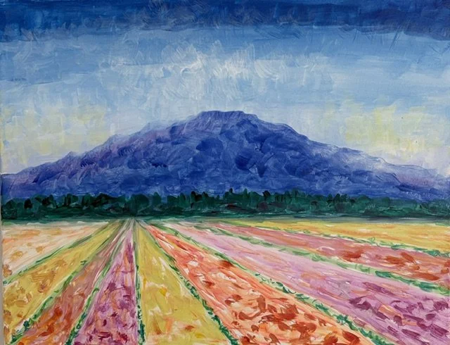 Tulip fields, Boris K.