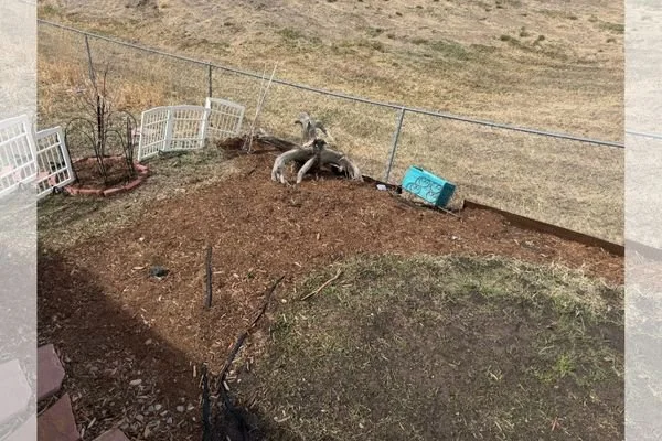Change Cycle - Christine Yeager | Organic Waste Infrastructure
