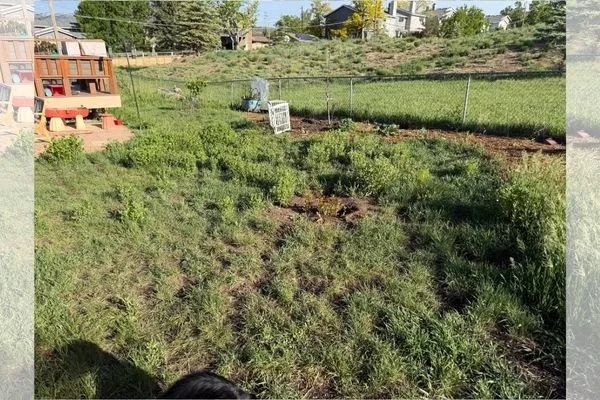 Change Cycle - Christine Yeager | Organic Waste Infrastructure