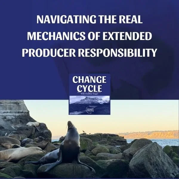 Navigating The Real Mechanics Of Extended Producer Responsibility