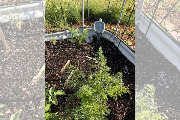 Change Cycle - Christine Yeager | Organic Waste Infrastructure