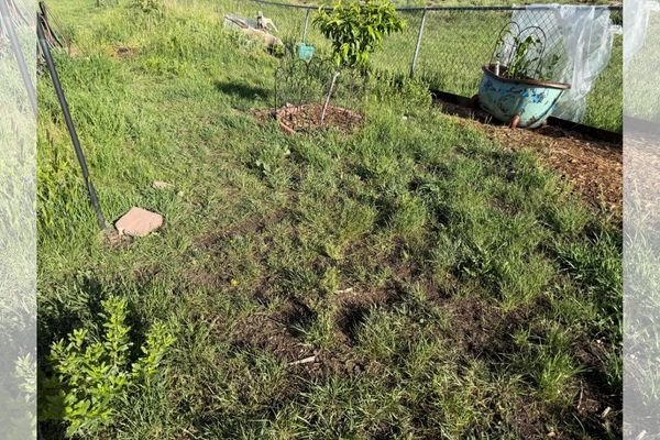 Change Cycle - Christine Yeager | Organic Waste Infrastructure