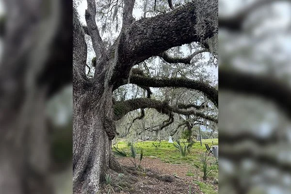 Change Cycle | Marisa Adler | Textile Circularity