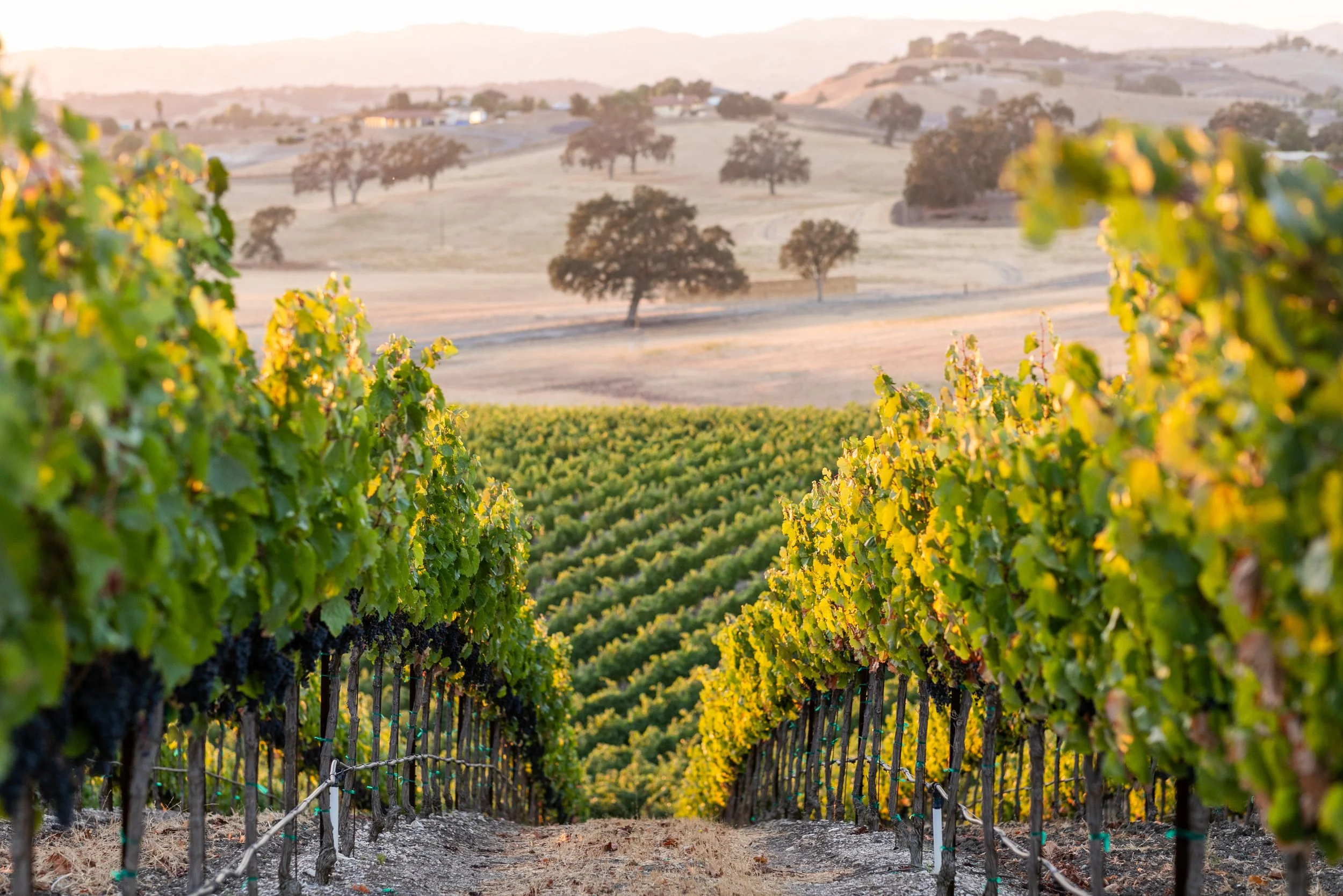 Change Cycle - Christine Yeager | Rhonda Motil | Experience Innovation