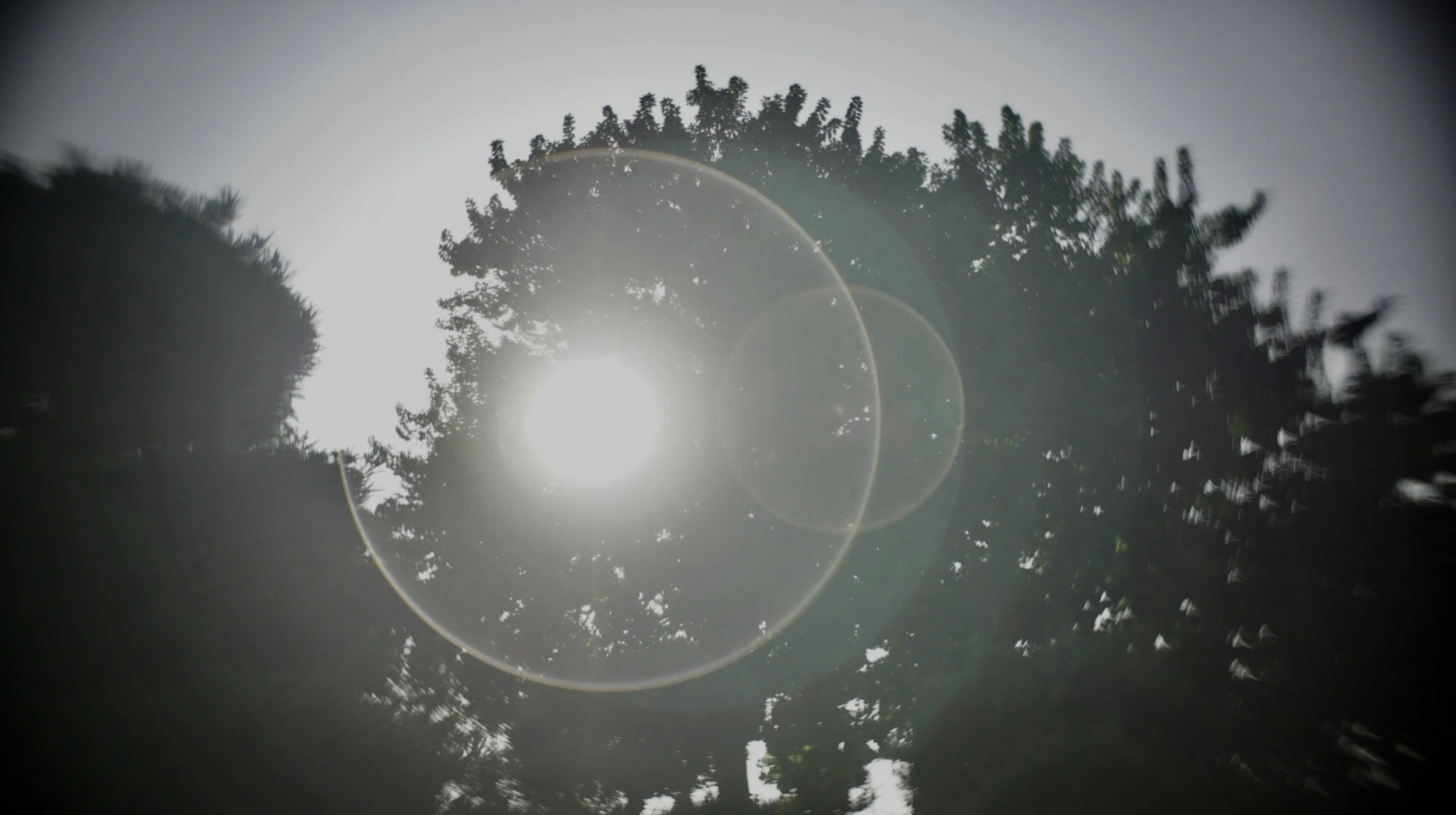 The “Cs” of Change