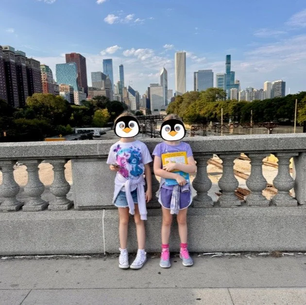 Our penguins have been busy traveling! We have added some more pins and photos to our Penguin Passport page. Check it out and remember to share you adventures! 
https://www.lpespta.org/penguin-passport