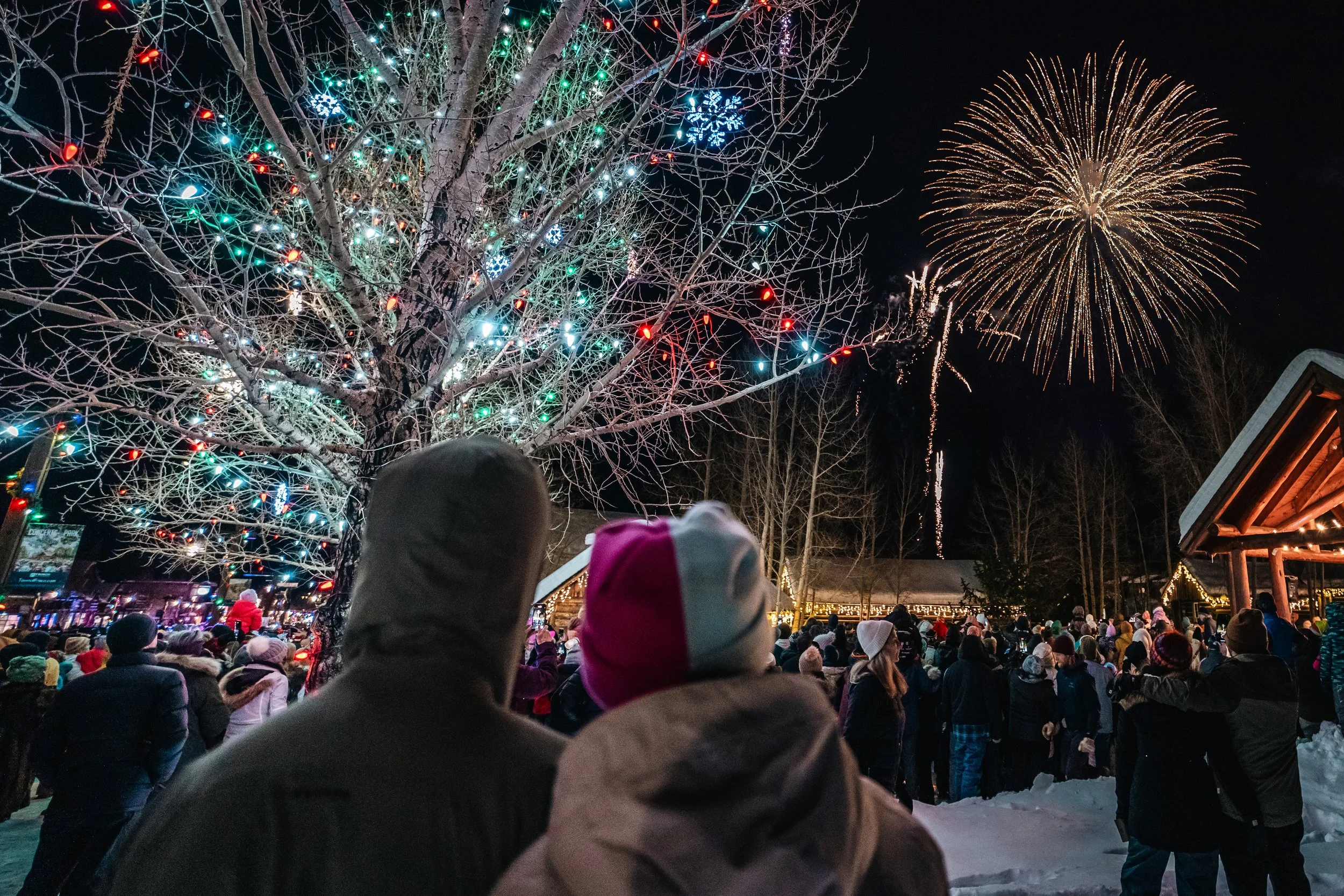 TOF_Wassail Days - Tree Lighting_11302024_CD_15.jpg