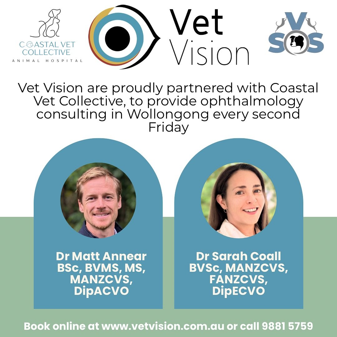Exciting News for Wollongong Pet Owners! 🐾👁️
We’re thrilled to announce that Vet Vision – Specialist Veterinary Ophthalmologists – will be partnering with Coastal Vet Collective to offer specialist ophthalmology consulting in Wol