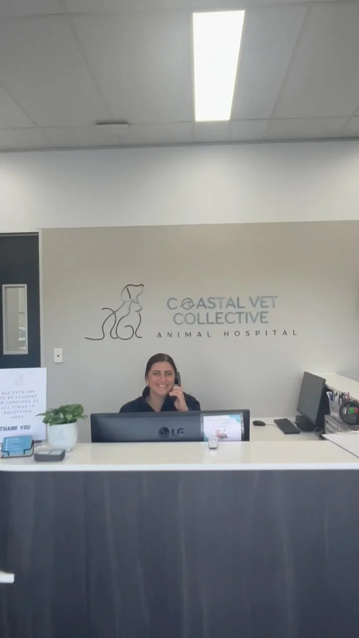 Need a vet that’s easy to find ? 📍
Look for our big “VET” signs and pull right into our front door parking
No circling the block or long walks needed !
We’re here to make visits stress free for both you and your pets 🐾