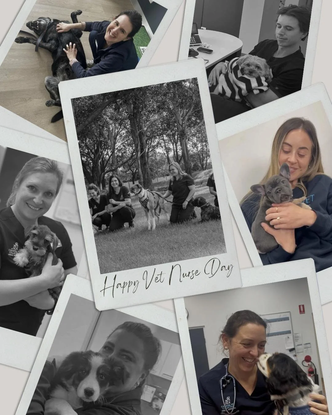 Happy Vet Nurse Day! 🐾
To all the incredible vet nurses out there including our very own amazing team — today is for YOU.
You wear so many hats: radiographer, phlebotomist, anaesthetist, surgical assistant, dental nurse, nutritionist, lab te