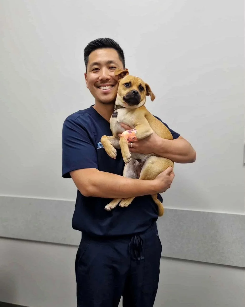 🐾 Have you met Dr. Joe Lee yet? 🐾

Dr. Joe joined our veterinary team about 6 weeks ago, and our patients (and their humans!) are already loving him! &hearts;️

He&rsquo;s new to Coastal Vet Collective but not new to the Illawarra having cared for 