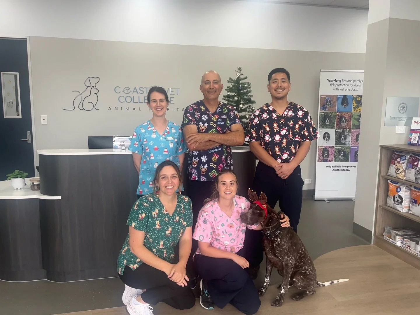 🎄✨ Merry Christmas from Coastal Vet Collective ✨🎄

As we celebrate our first year of opening, we want to say a huge thank you to our amazing clients and all the beautiful patients we&rsquo;ve had the privilege of caring for. Your support and trust 