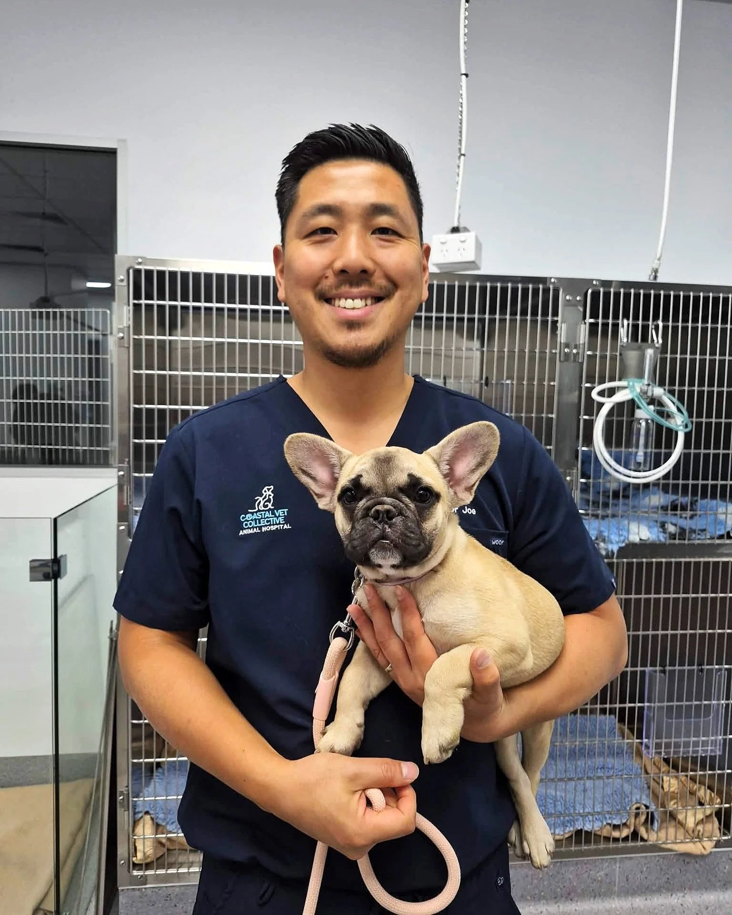 Good girl Lala 🐾

All up to date on her puppy vaccinations and passed her health check with Dr Joe 
 
10/10 for cuteness 🤍
.
.
.
#frenchbulldog #frenchie #frenchiepup #newpuppy #vaccinated #veterinarian