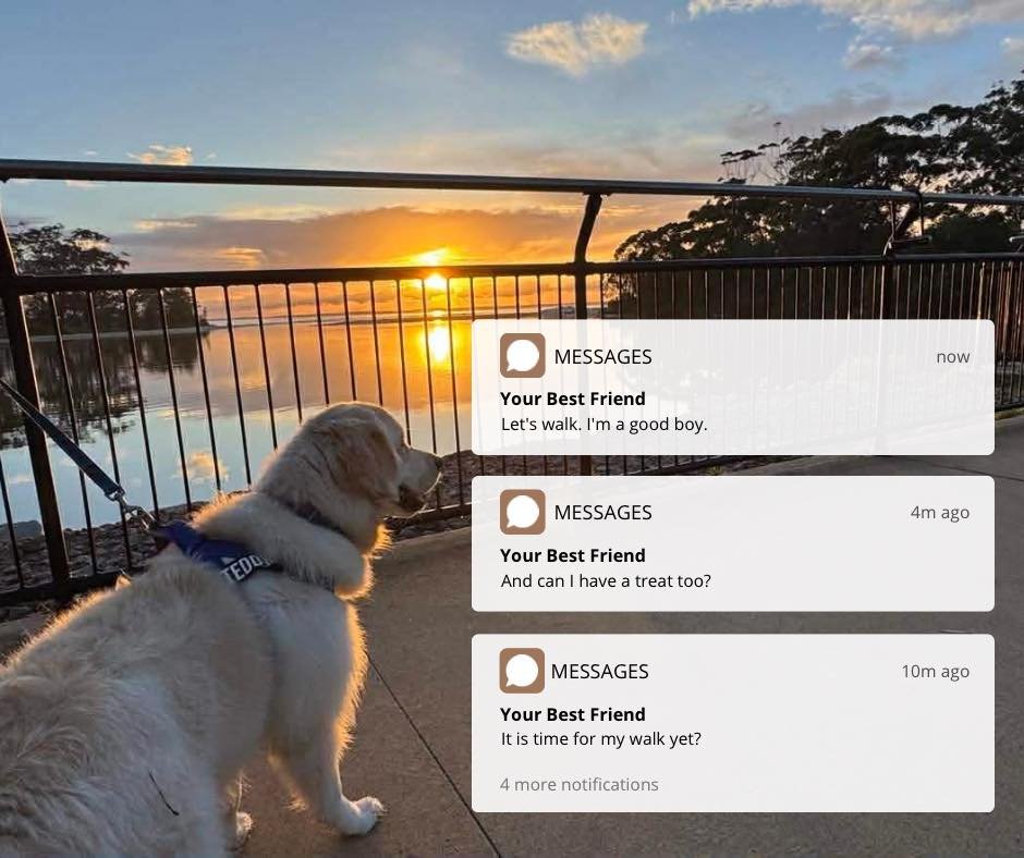 National Walk Your Pet Day is a reminder that movement, fresh air, and quality time together benefits both ends of the leash.

Time outside can:
🌿 Reduce stress
🌿 Improve mood
🌿 Increase daily movement
🌿 Strengthen your bond

Take a break. Step o