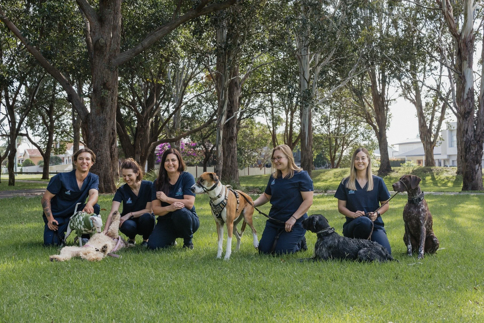 Did you know you can book an appointment with one of our experienced veterinary nurses at Coastal Vet Collective?

Our nurse consults are designed to support your pet&rsquo;s ongoing health and wellbeing and include services such as:

🐾Nail clipping