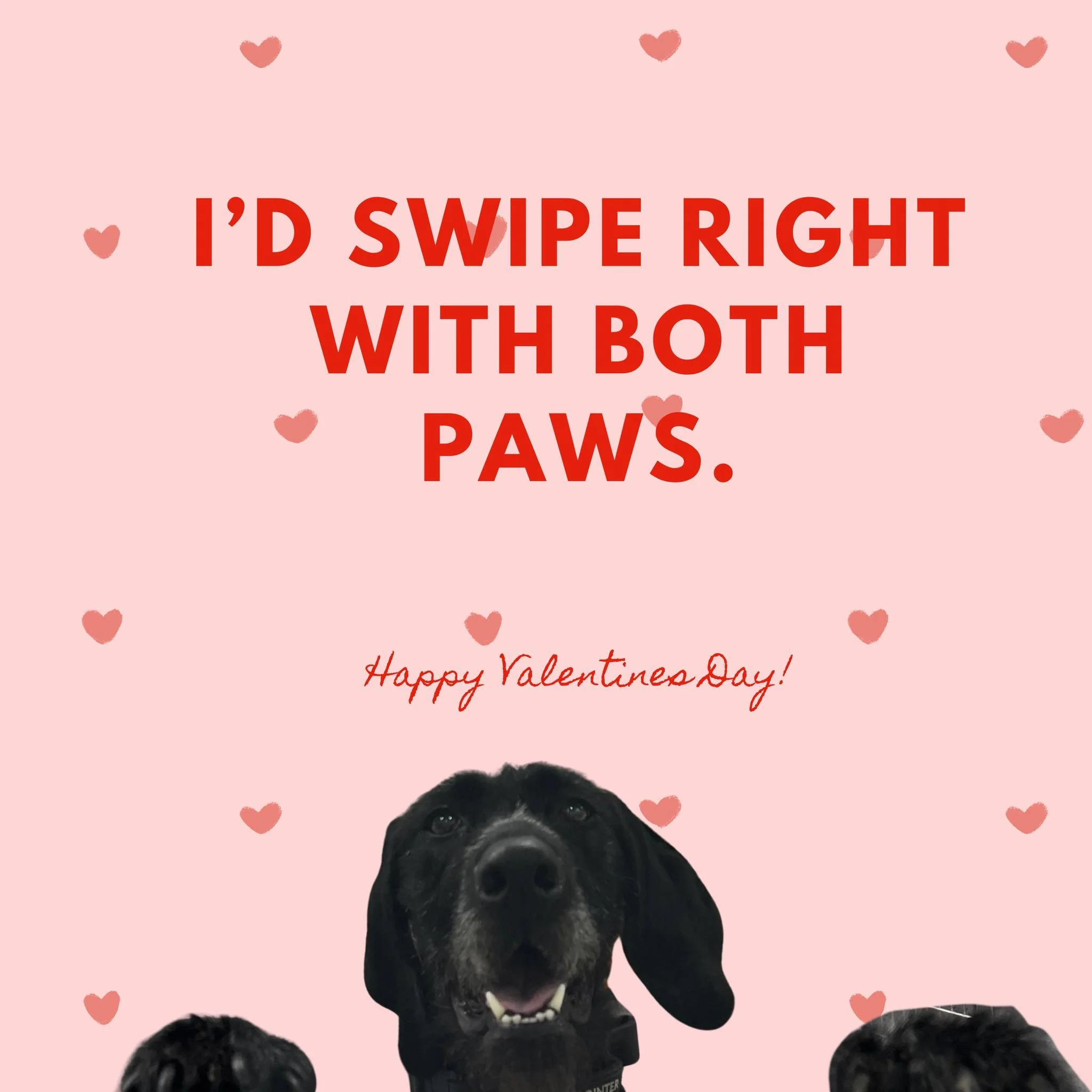 Send this to your valentine 💌
.
.
.
#valentine #valentinesday