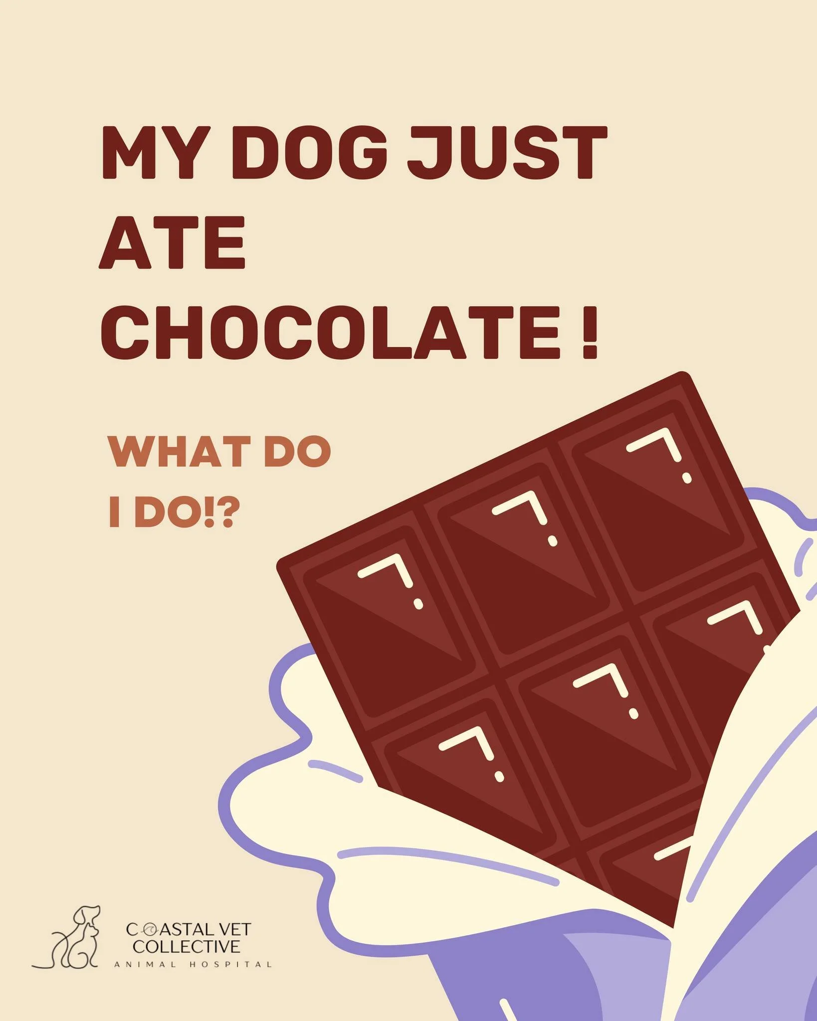 🐣 Easter treats aren&rsquo;t sweet for everyone&hellip;

Chocolate is toxic to both dogs and cats even in small amounts. Dark chocolate and baking chocolate are especially dangerous and can cause vomiting, rapid heart rate, seizures, or worse.

Keep
