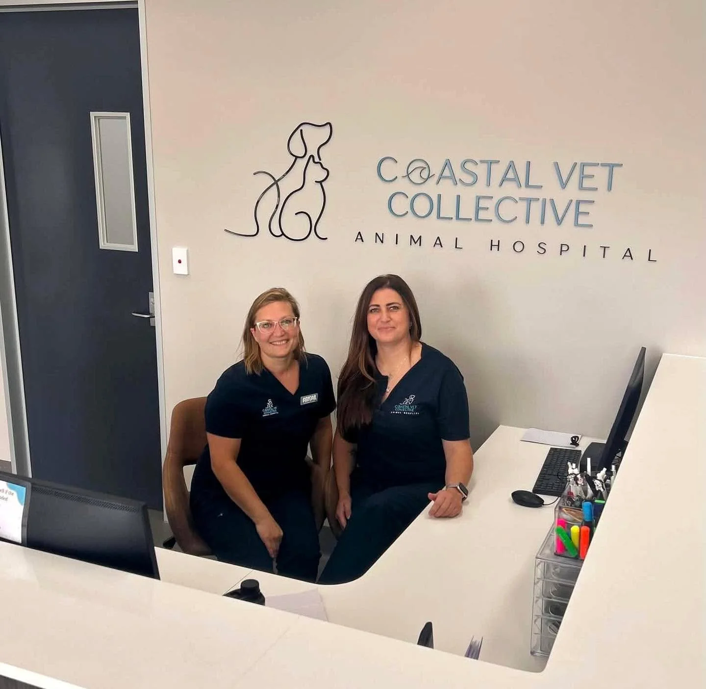 In honour of veterinary receptionist week 🐾

An open letter to veterinary receptionists,

I see you.

I see you juggling an endless to-do list, rarely finishing one task before the next begins. I see you answering ringing phones while greeting clien
