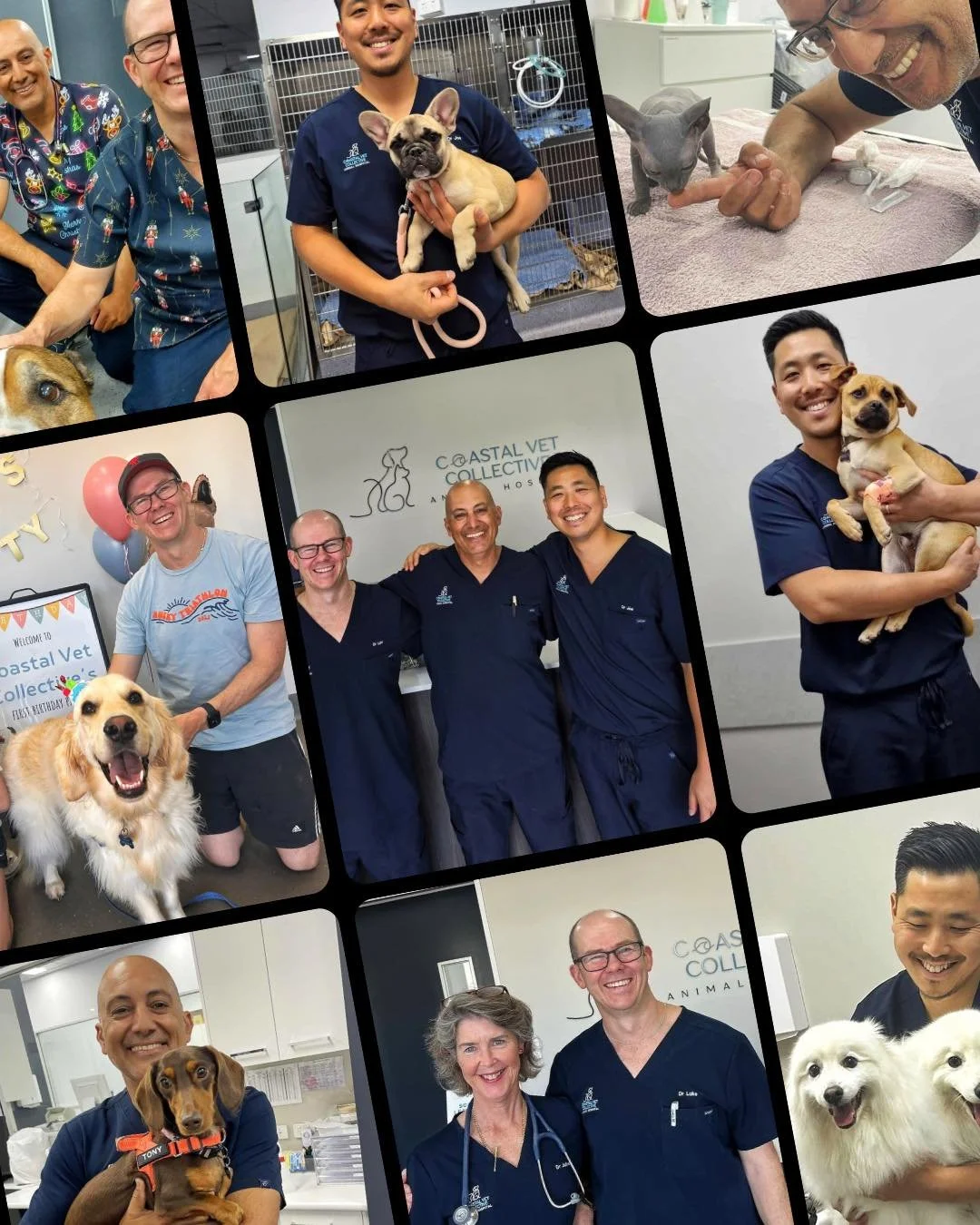 Happy World Vet Day 🐾

A big shoutout to our incredible vets 
Dr Luke, Kevin, Joe &amp; Julie who go above and beyond every single day. Their attention to detail, genuine care and compassion for every patient is what makes such a difference, not onl