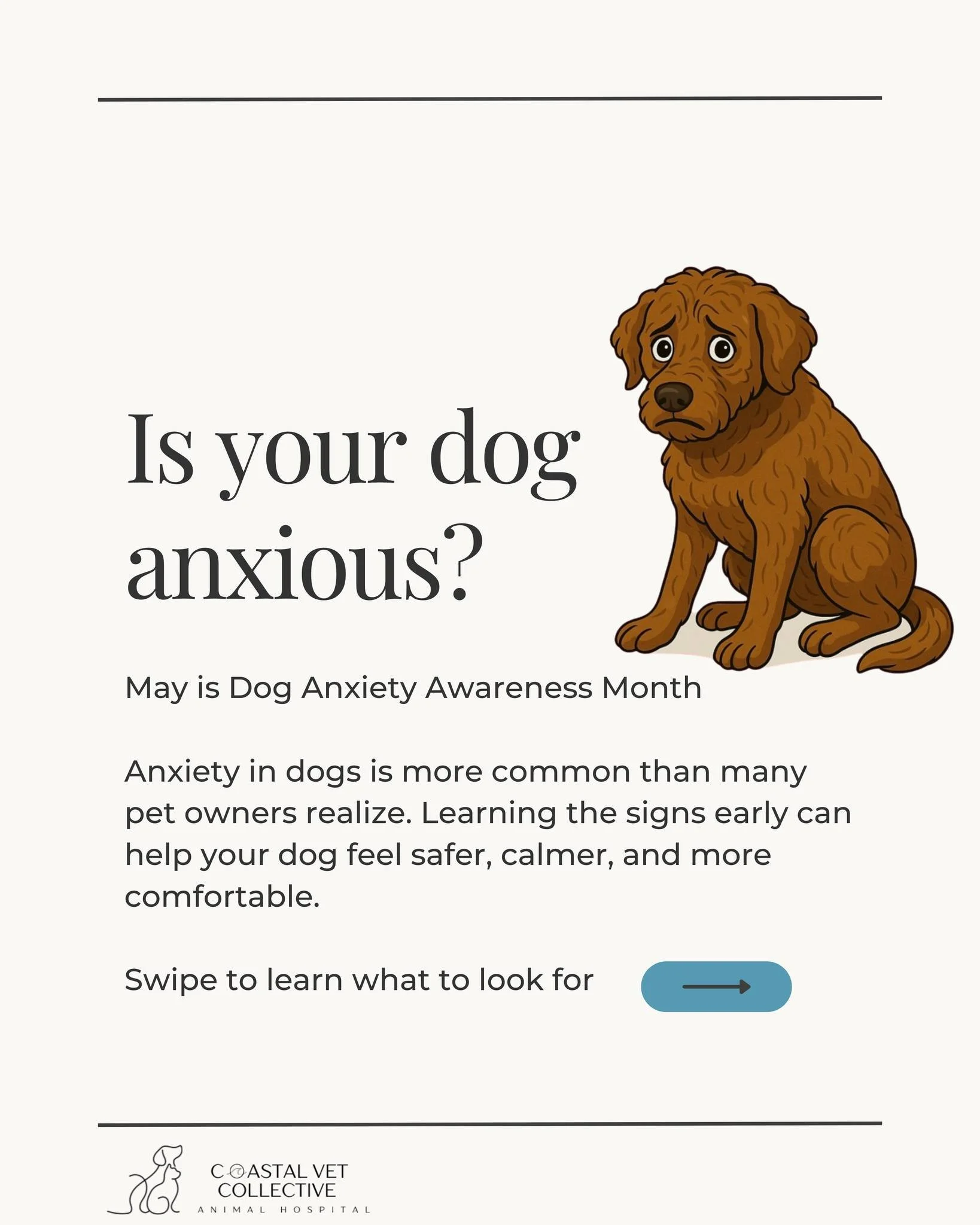 🐾 May is Dog Anxiety Awareness Month 🐾

Anxiety in dogs is more common than many pet owners realize. From loud noises to changes in routine, stress can affect our pets in many different ways.

Swipe through to learn the signs of anxiety, common tri